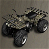 Quad 3D - モータースポーツ